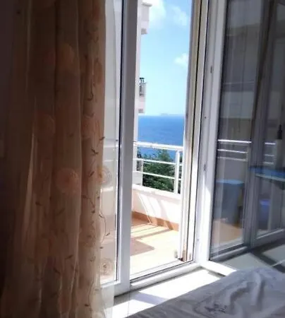 Ami Vlore